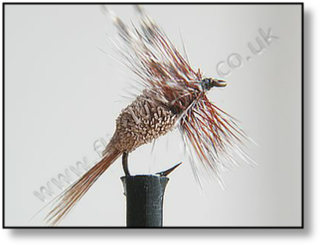 Adams Irresistible dry fly