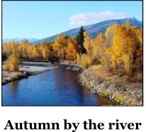 Autumn fly fishing