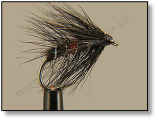 Bibio wet fly