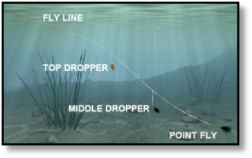 A team of three flies on a fly fishing leader